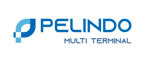 Logo Pelindo Multi Terminal